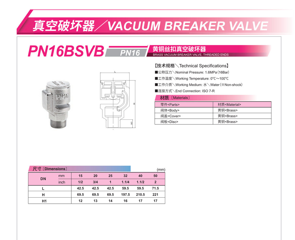 真空破壞器 PN16BSVB.JPG